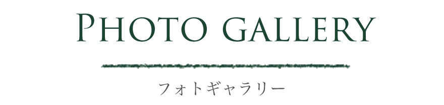 フォトギャラリー